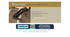 Desktop Screenshot of dreamfieldarabianracehorse.com