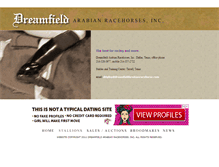 Tablet Screenshot of dreamfieldarabianracehorse.com